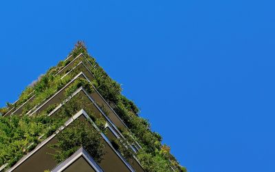 Understanding ESG: Way to Sustainable investing and Social Activism
