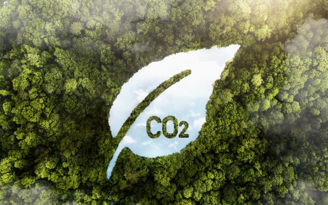ESG marketing: How companies can build trust through sustainability content