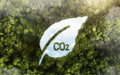 ESG marketing: How companies can build trust through sustainability content